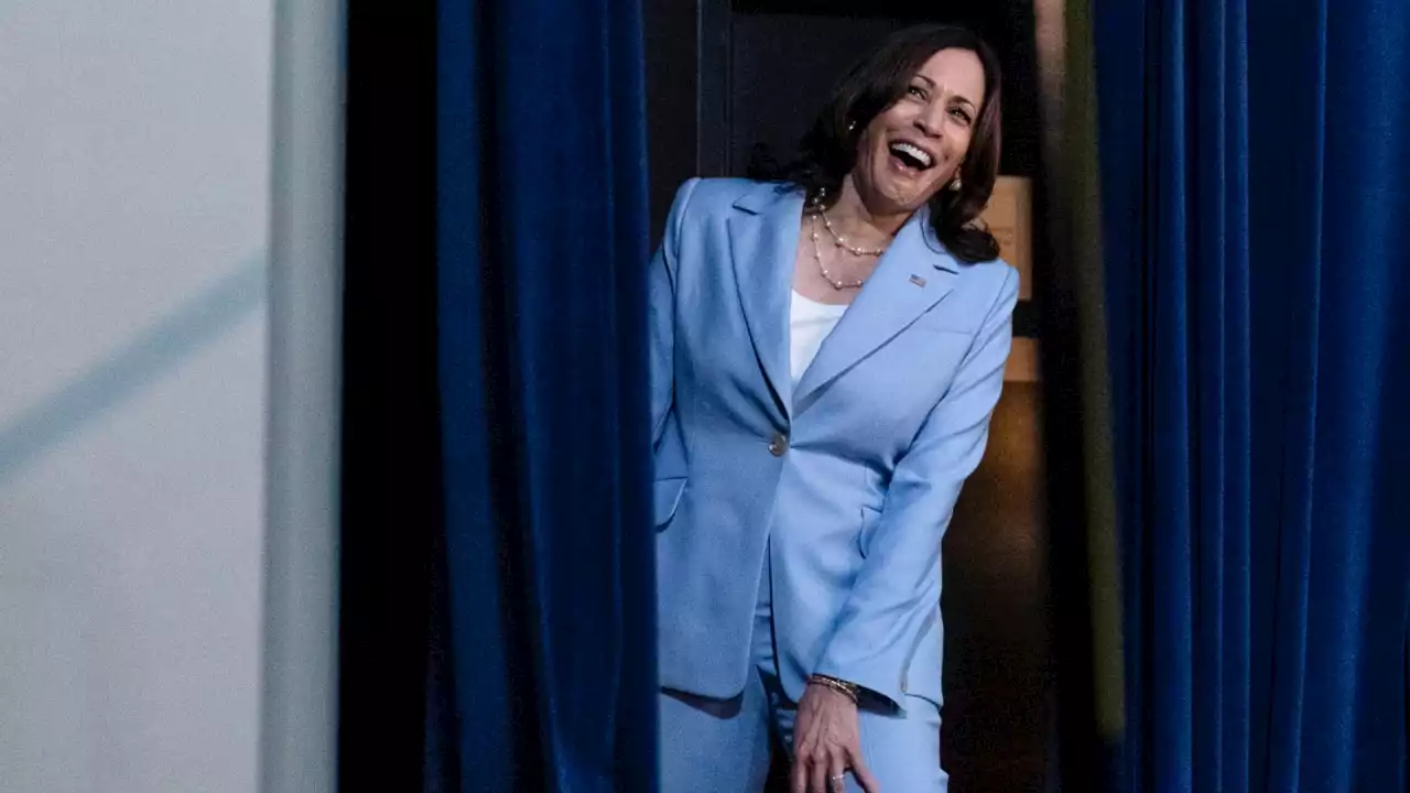 Kamala Harris continually says things which are &#8216;totally ridiculous&#8217;