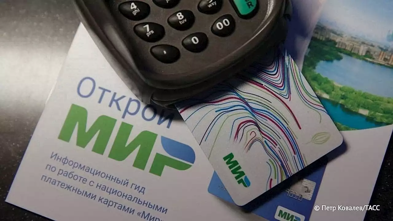 Россияне в 2022 году совершали по 7 млн платежей через Mir Pay в сутки