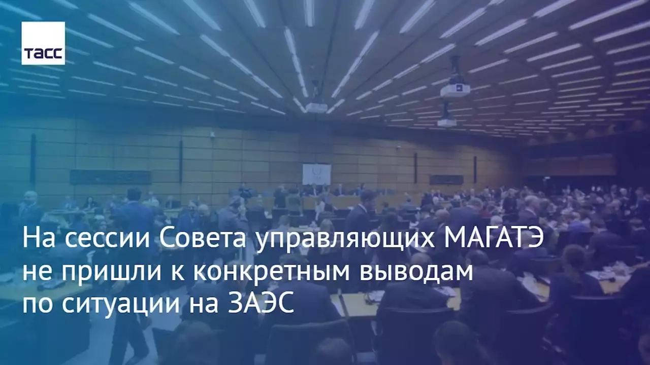 На сессии Совета управляющих МАГАТЭ не пришли к конкретным выводам по ситуации на ЗАЭС