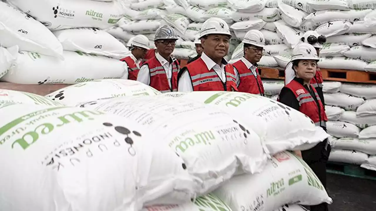 Jamin Penuhi Kuota Pupuk Subsidi, Pupuk Indonesia: Kemampuan Produksi Cukup