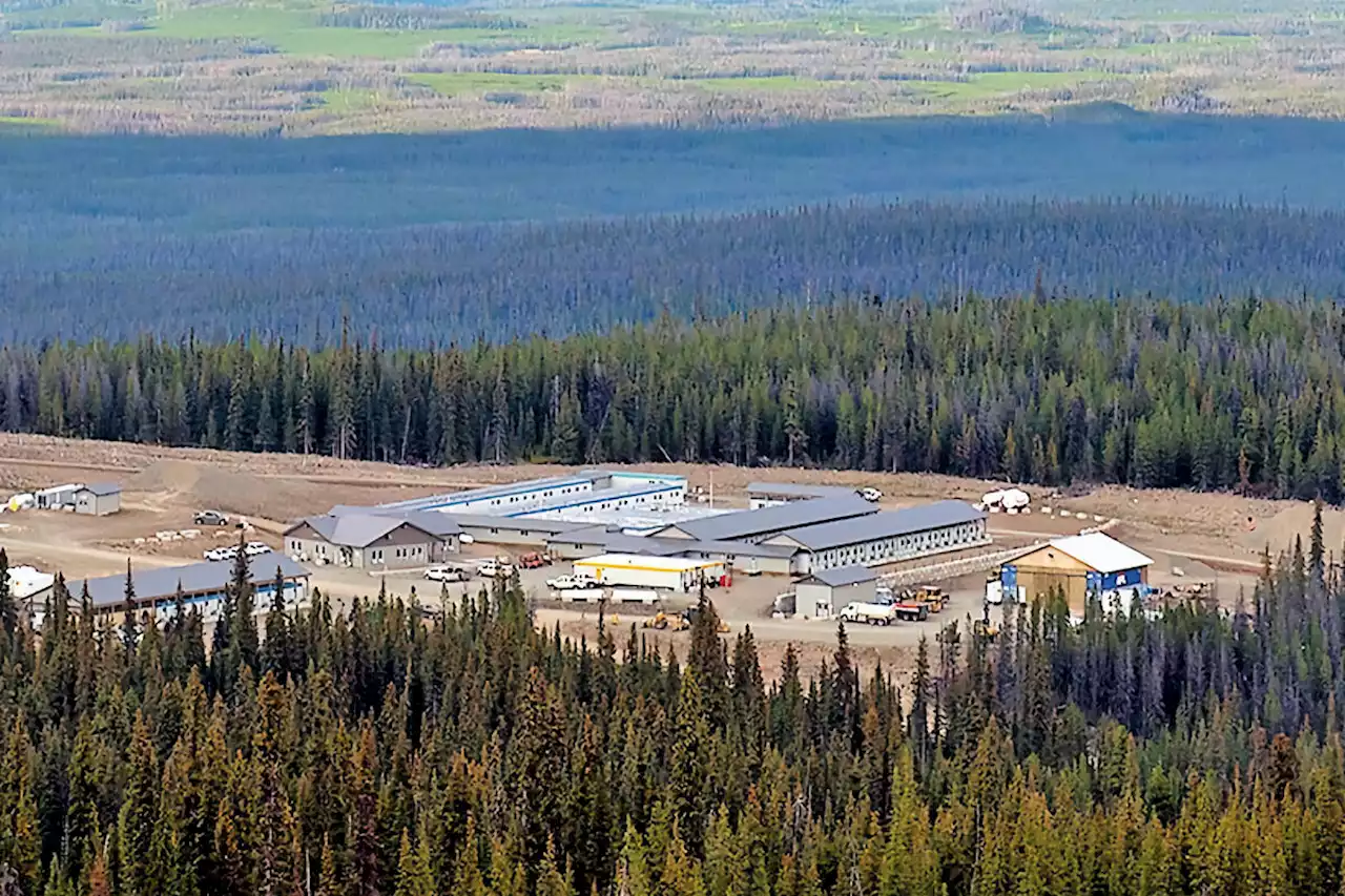 Northern B.C. gold mine gets provincial approval after 7 years of consideration - Terrace Standard