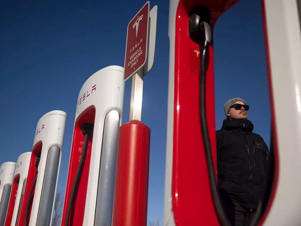 ‘Chicken or egg’: Electric vehicle presence in Sask. at risk of plateau