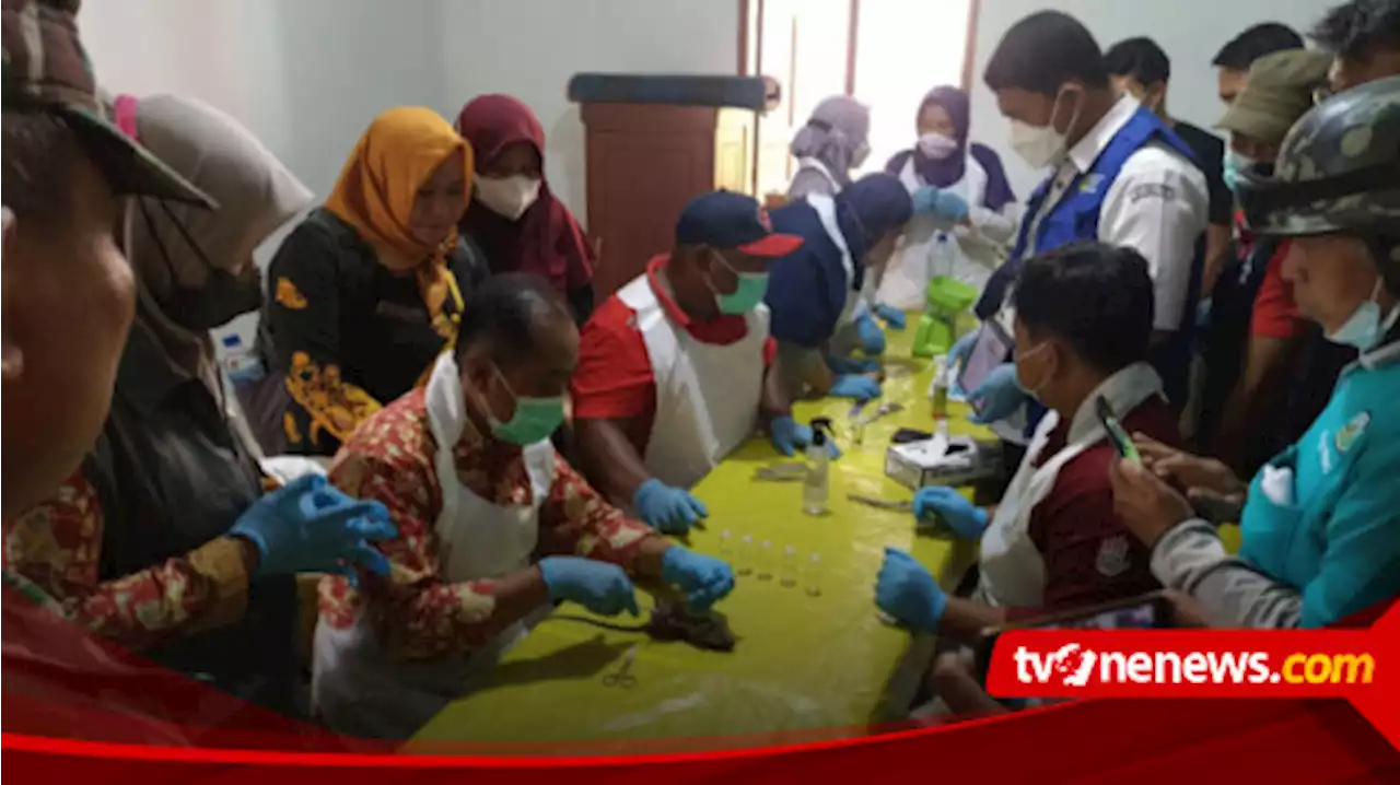 Jelang Ramadhan, P2P Dinkes Pacitan Dituntut Gerak Cepat Hentikan Laju Leptospirosis