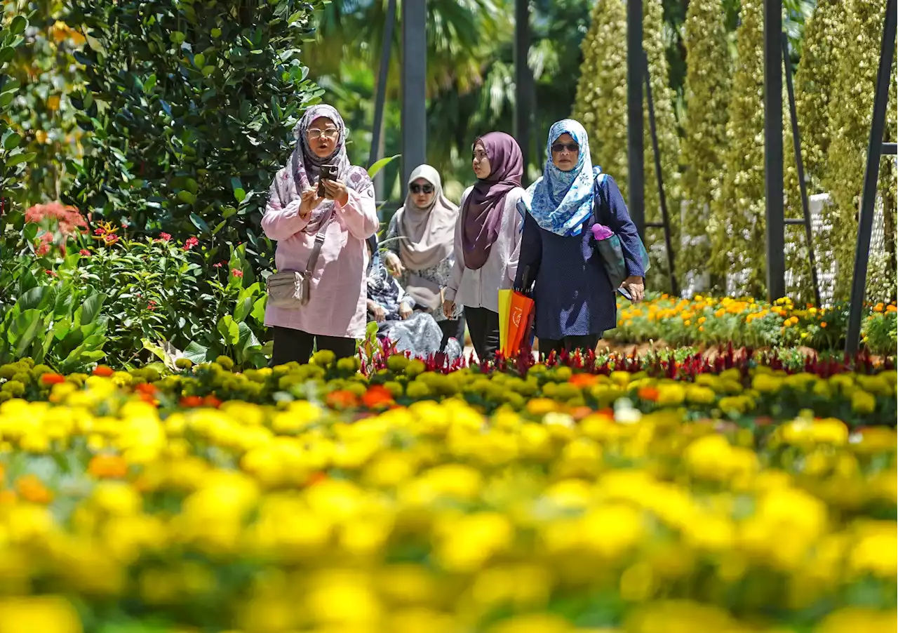 Anwar tegaskan tidak campur urusan kehakiman