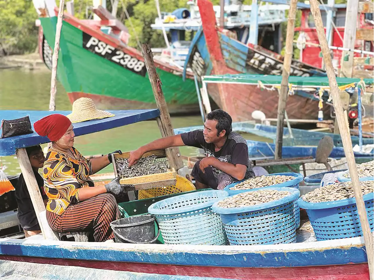 Permit kutipan siput retak seribu boleh dikeluar jika tiada bantahan