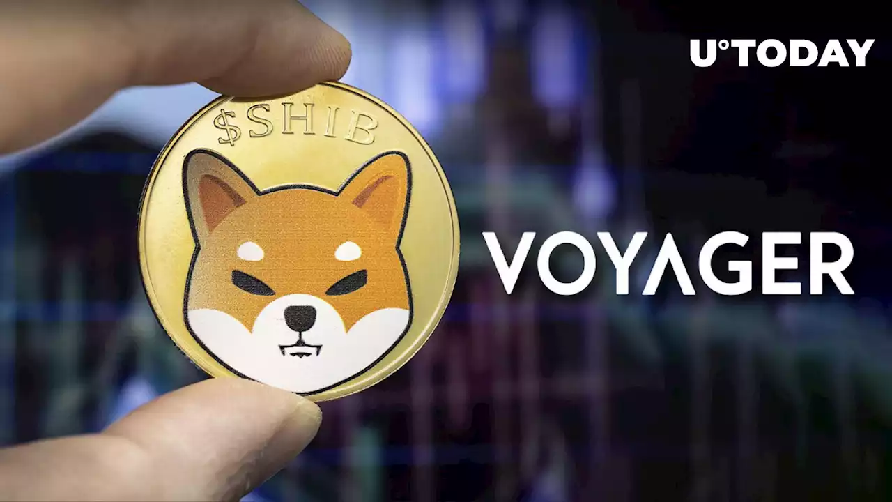 825 Billion SHIB Dumped by Voyager via Top Exchanges as Shiba Inu Adds Zero