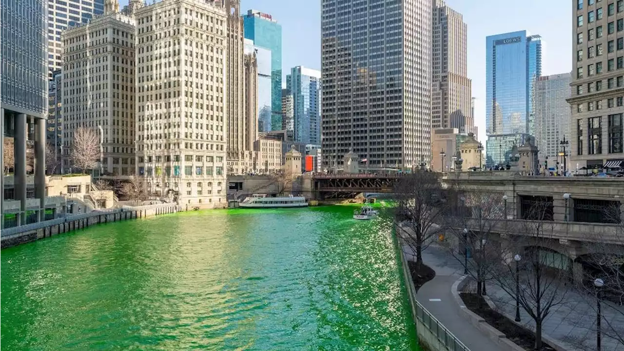 5 Things to Do This Weekend: St. Patrick’s Day Parades, Physician Magician