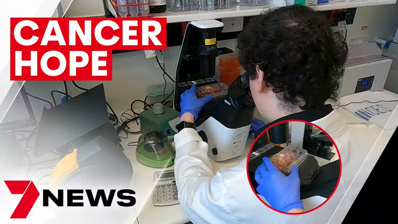 Melbourne scientists hopeful the COVID vaccine could help treat cancer patients | 7NEWS