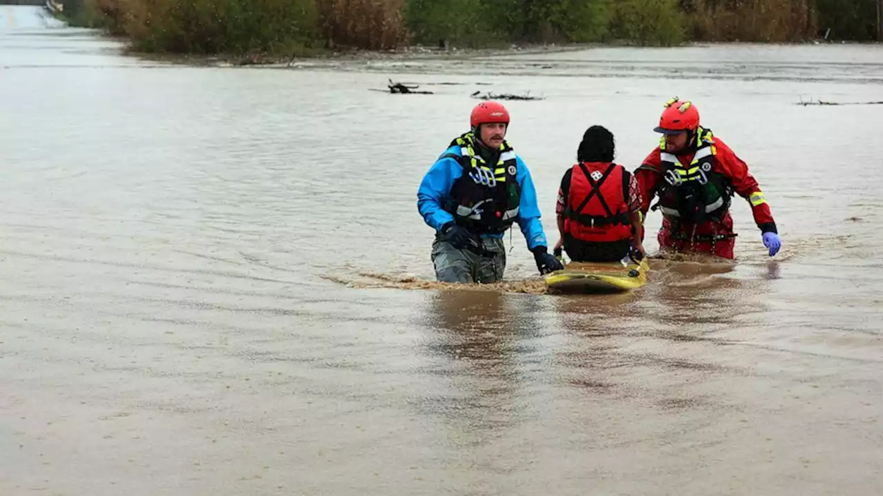 California's Pajaro River breaches overnight, residents urged to evacuate