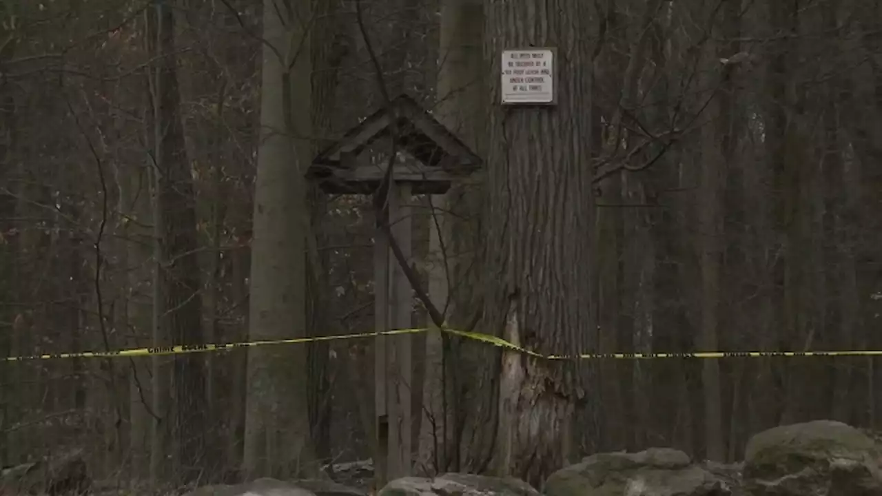 Dog discovers human hand in Staten Island forest