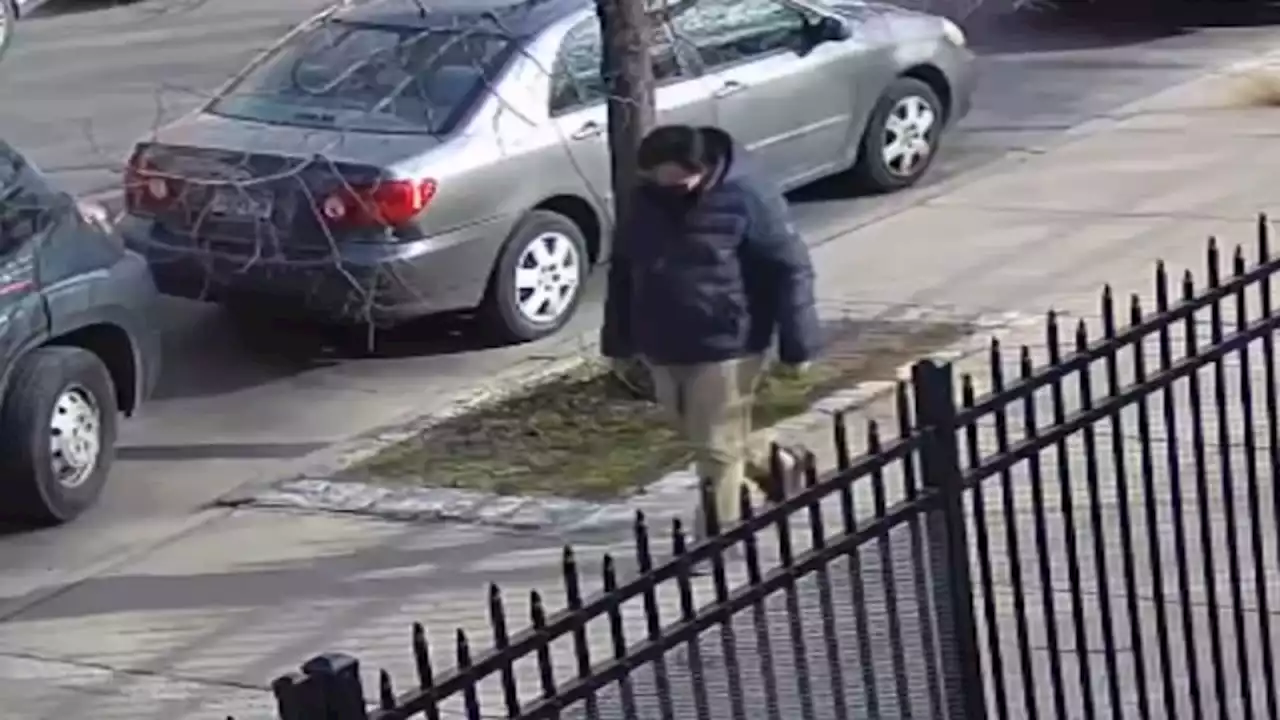 Police release surveillance video of suspect who punched 74-year-old in Flushing