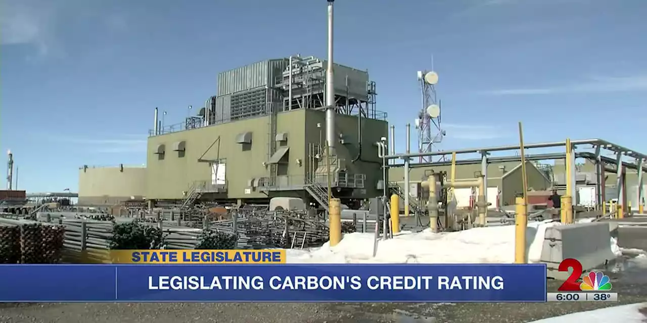 House Resources Committee digs into carbon credits