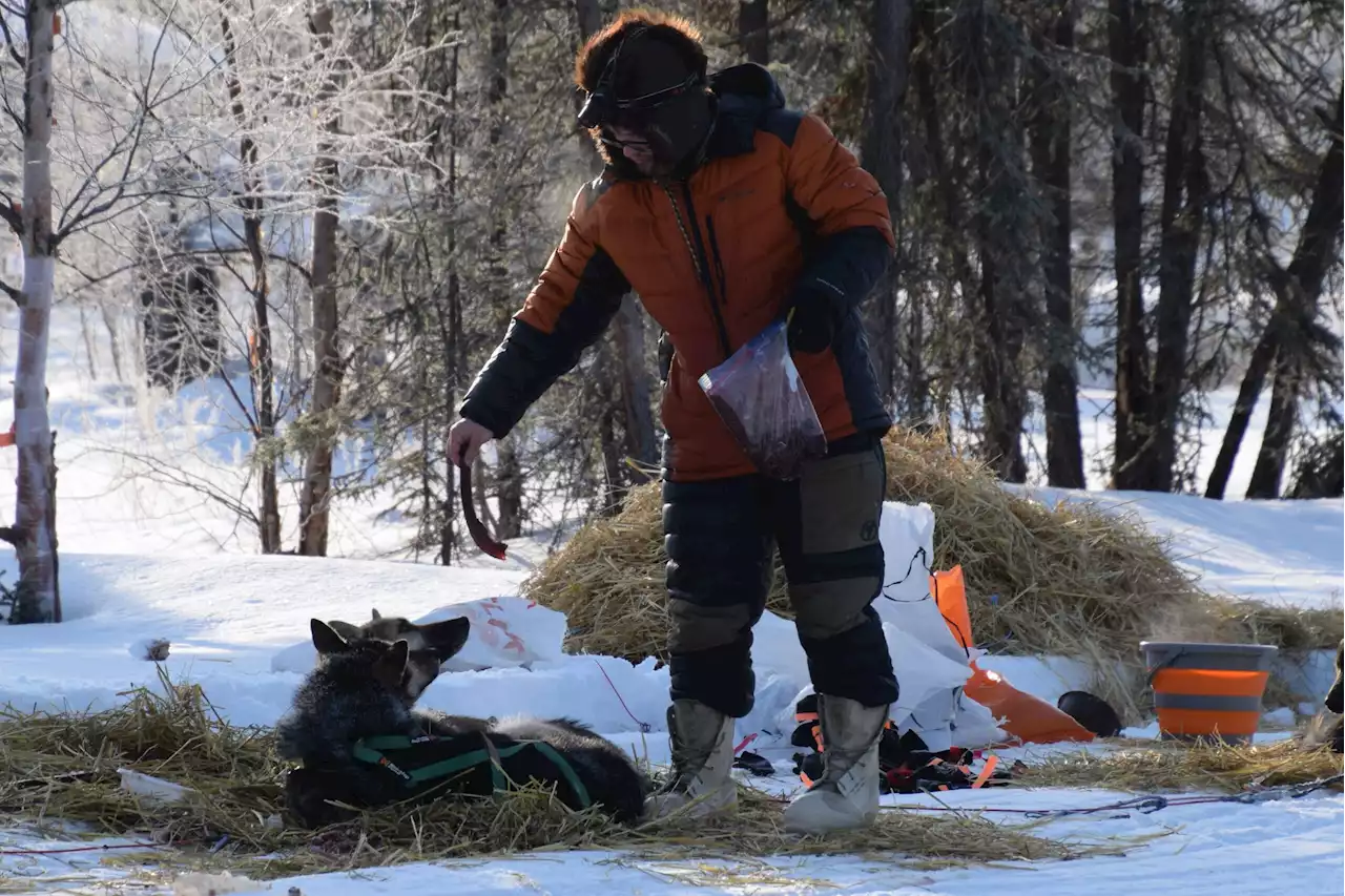 Iditarod mushers recover from rough trail and crashed sleds in Shageluk