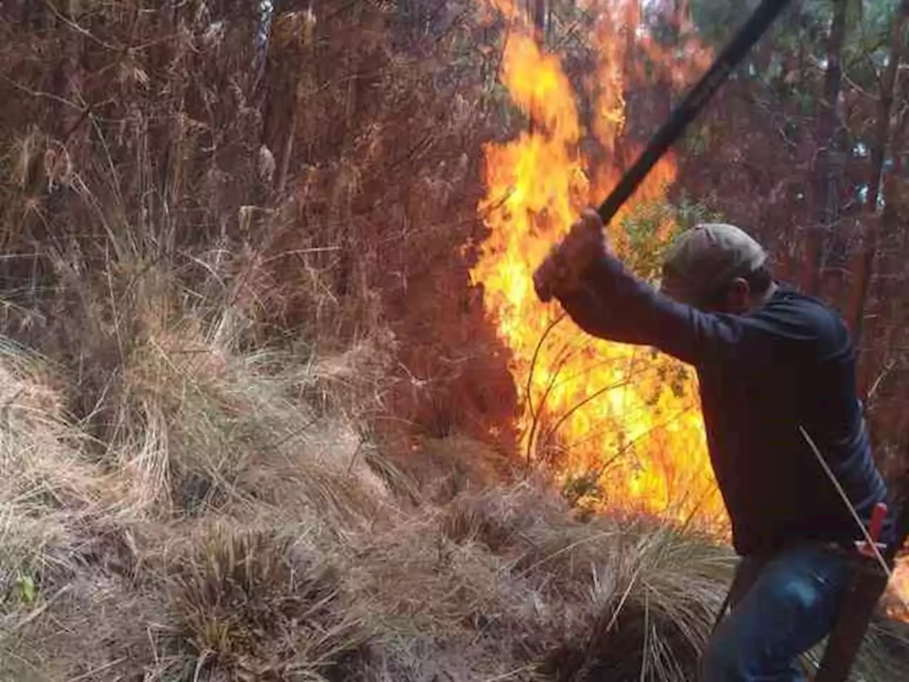 Suman 61 incendios forestales en Veracruz este año