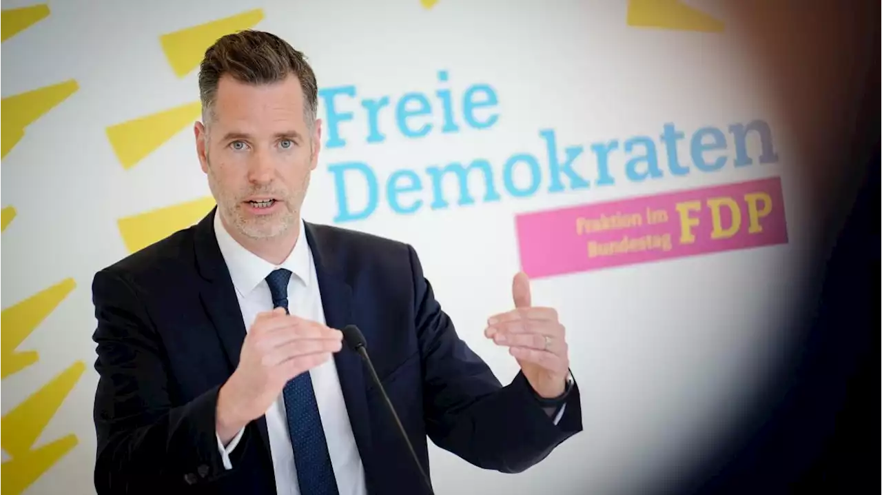 FDP-Fraktionschef: 'An der Grenze 'Asyl' zu sagen, geht schneller als 'Ich will arbeiten''