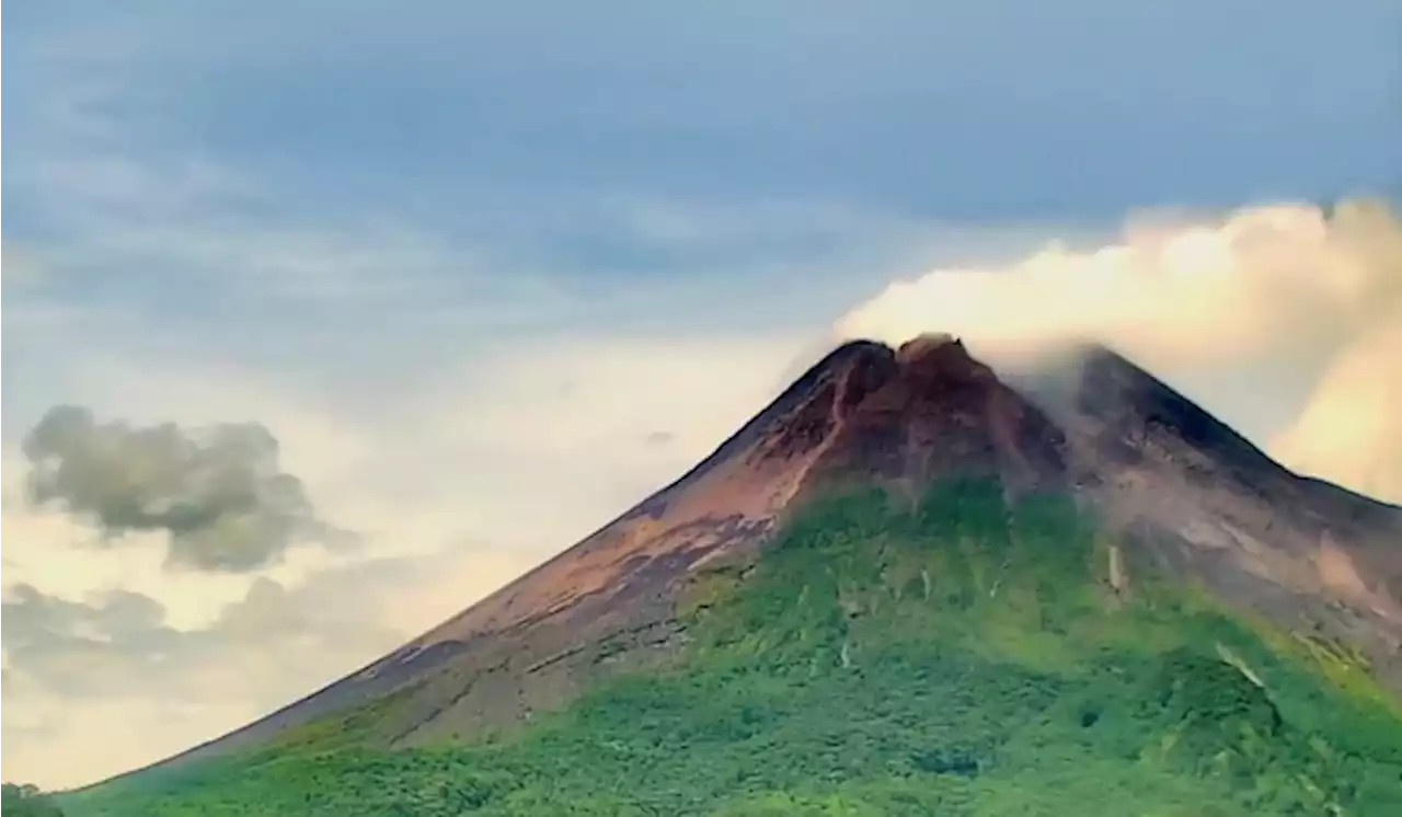 Gunung Merapi Erupsi Siang Ini, Luncrukan Awan Panas ke Arah Kali Bebeng