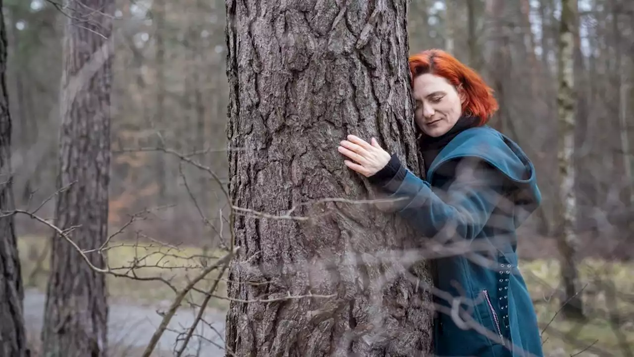 Helen Jahn zeigt, wie man Bäume richtig umarmt