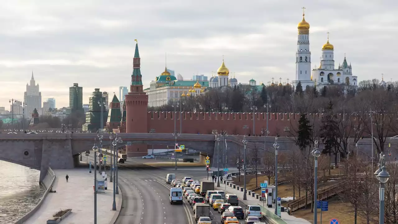 Russland sieht Umweltorganisation WWF als «ausländischen Agenten»