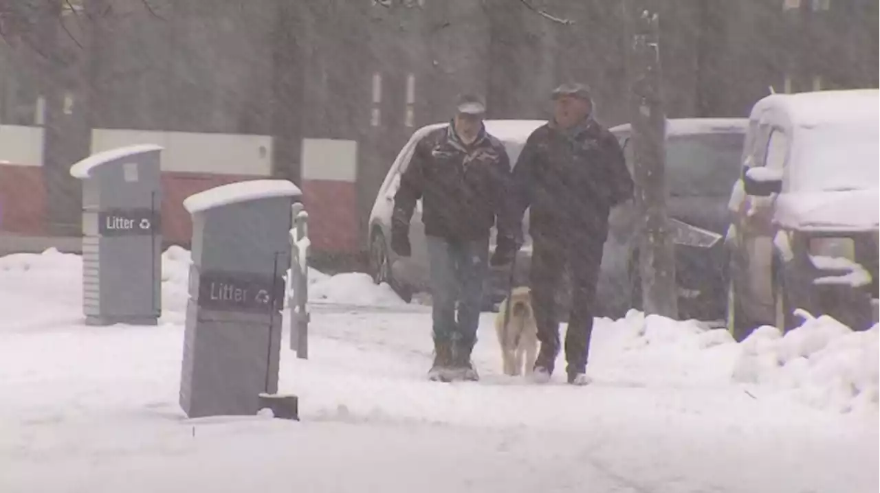 People digging out from another winter storm that hit southern Ontario Friday