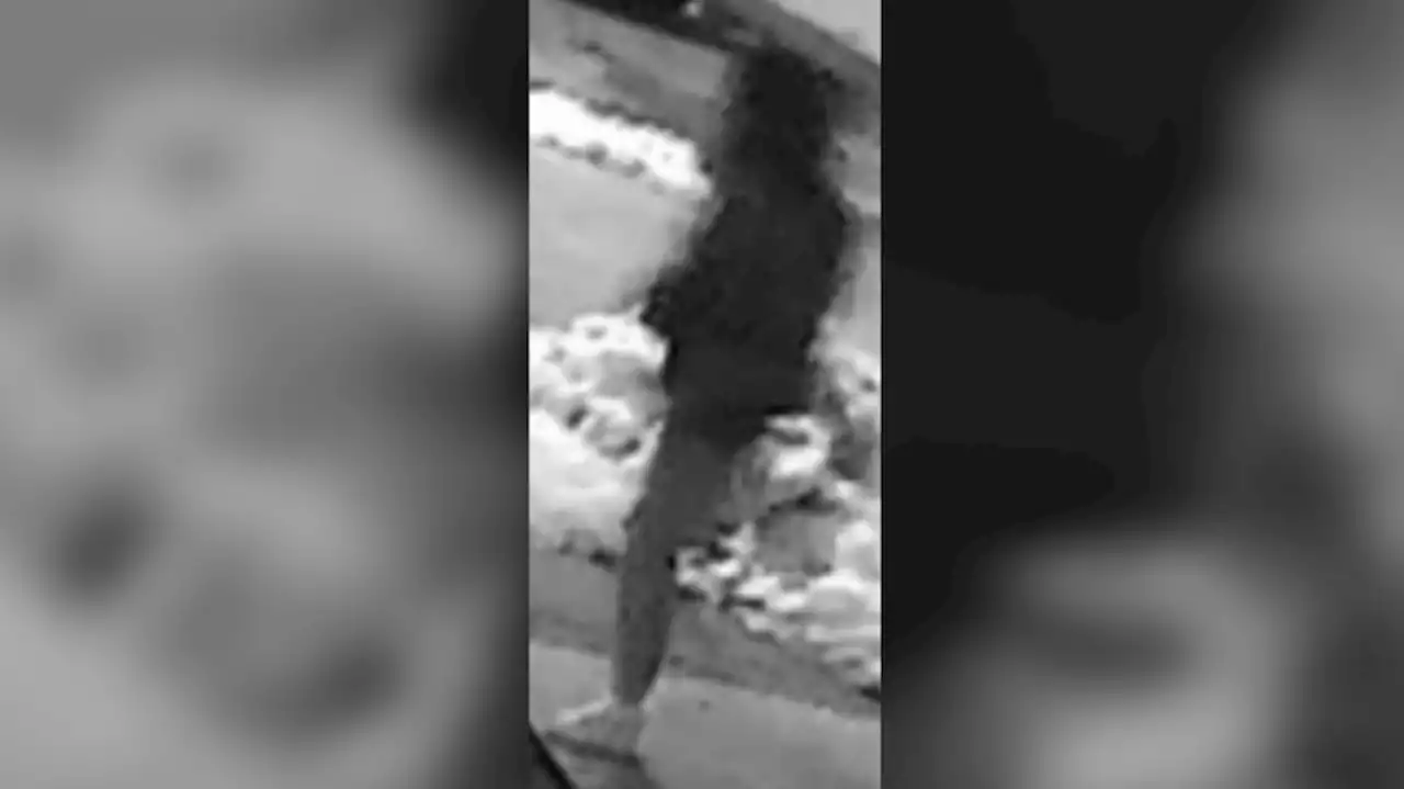 Police searching for male suspect after woman sexually assaulted in Scarborough