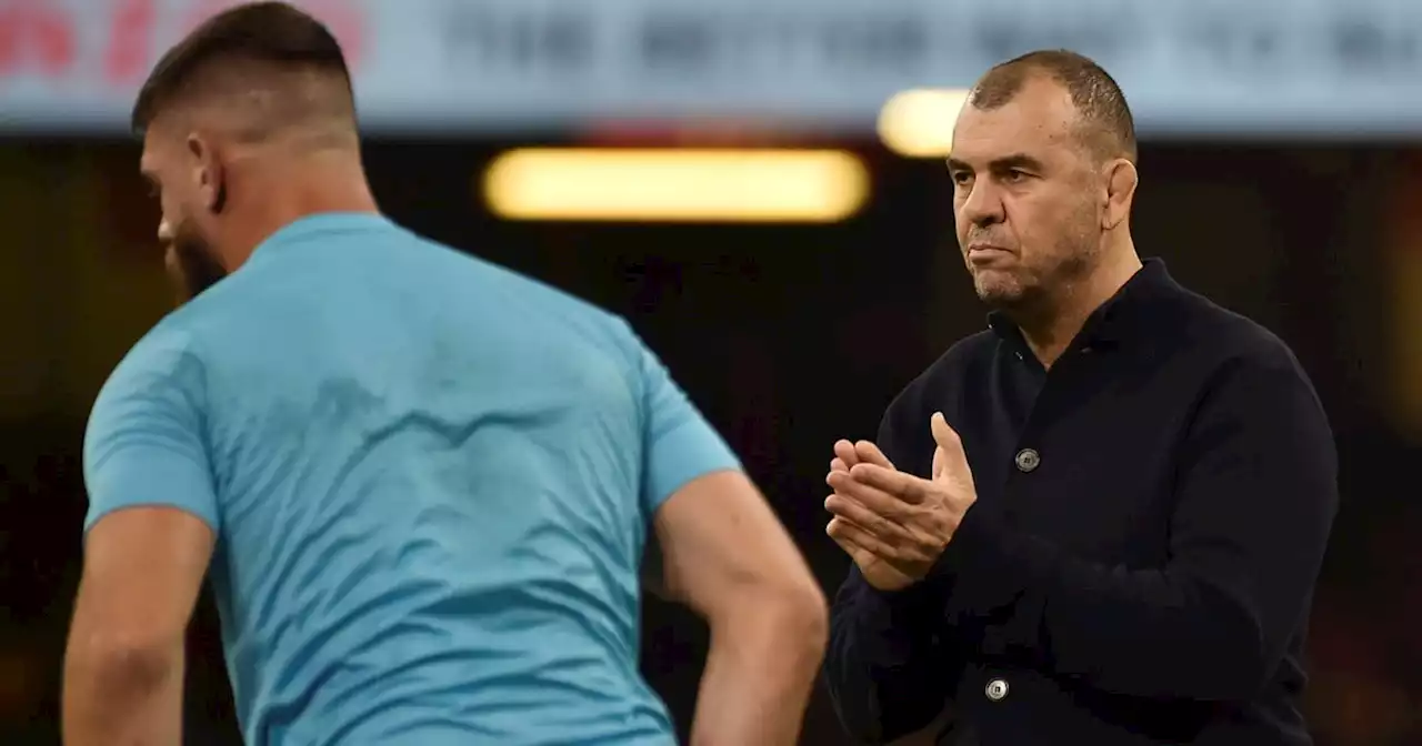 Cheika: 'Nuestro objetivo está en ser un gran competidor'