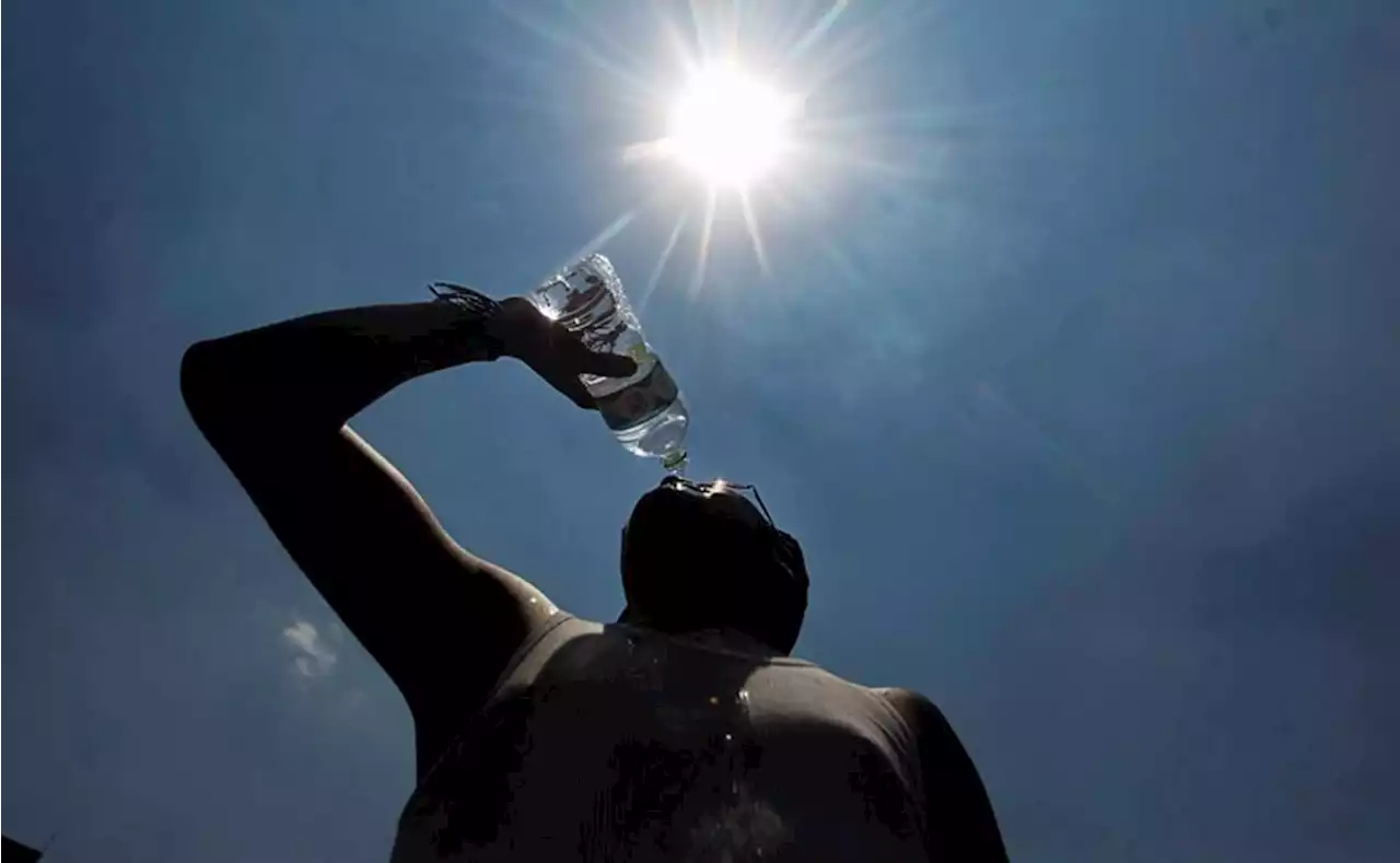 Clima México hoy 11 marzo 2023: Pronostican temperaturas de hasta 45 grados