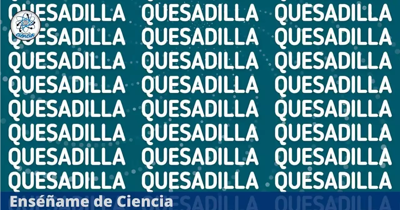 El acertijo visual que solo los GENIOS resuelven: Encuentra la palabra DIFERENTE a quesadilla en segundos