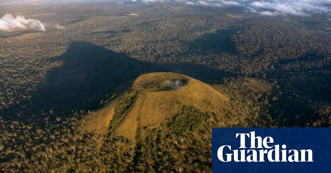 Queensland windfarm backed by Apple and Andrew Forrest sparks warning over impact on threatened species