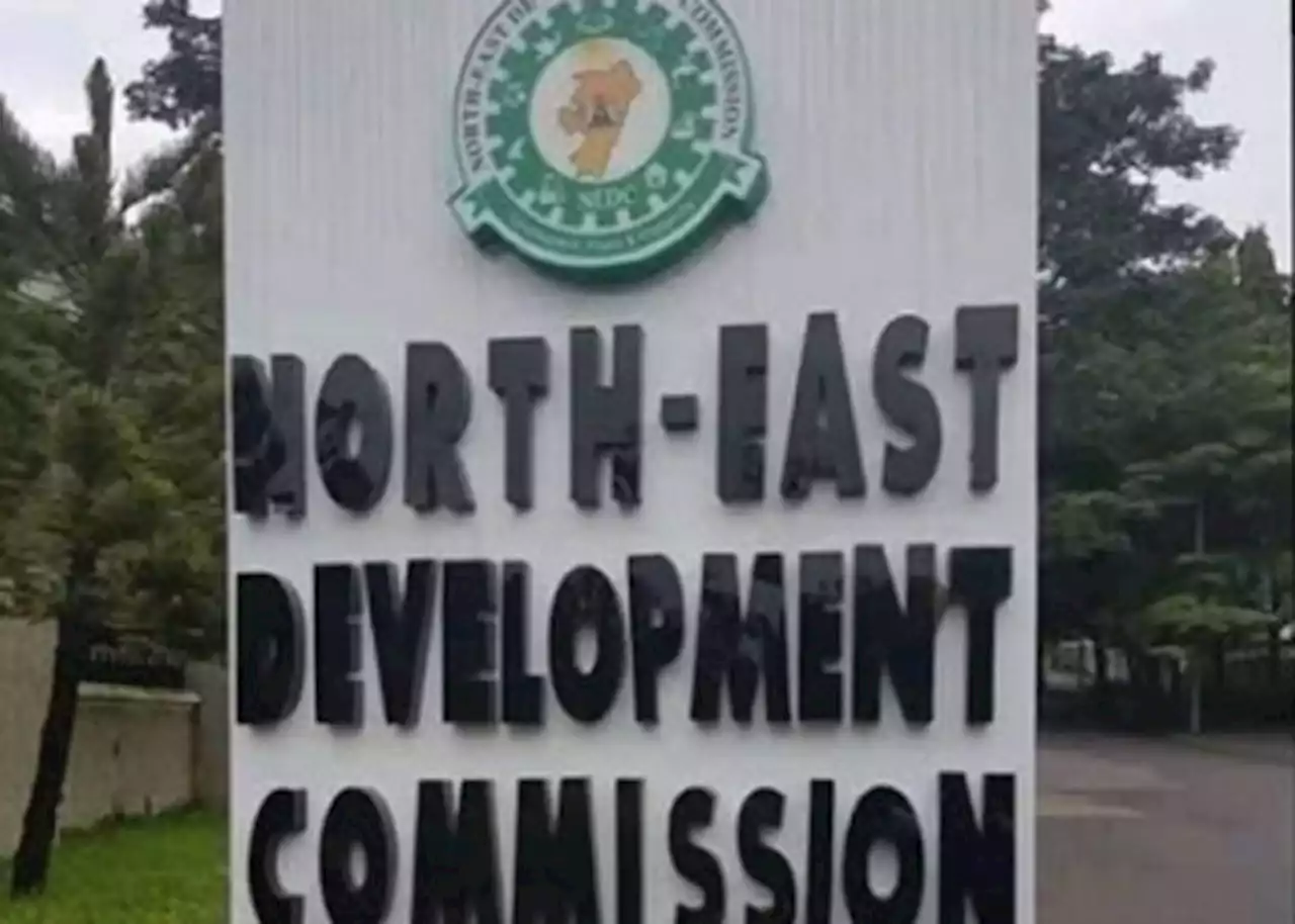 Transparency groups allege massive corruption in NEDC | The Guardian Nigeria News - Nigeria and World News