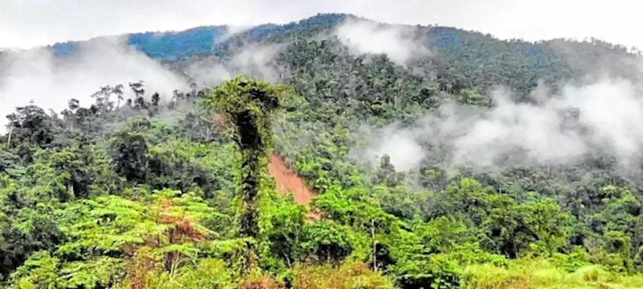 Rain, rough terrain hamper retrieval operations at Isabela plane crash site