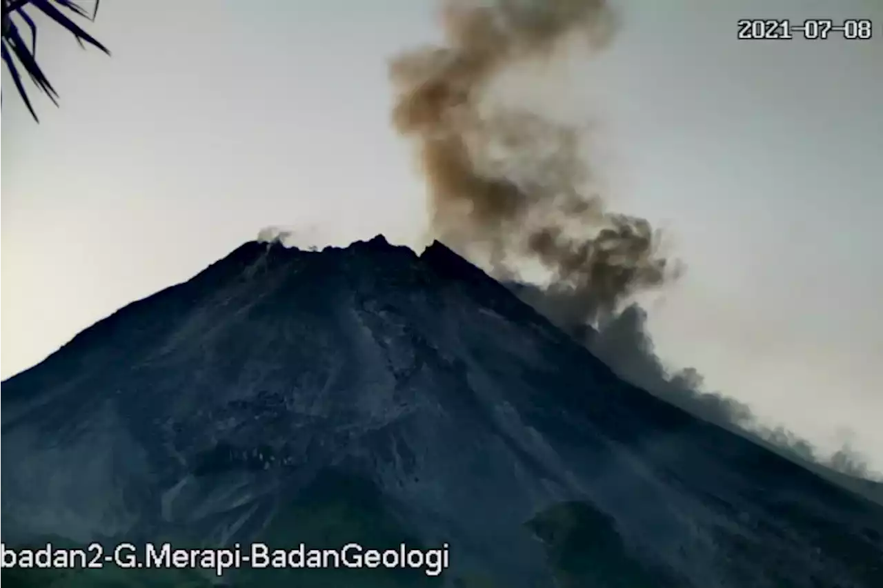 Gunung Merapi Muntahkan Wedhus Gembel, Warga Diimbau Menjauh Radius 7 KM