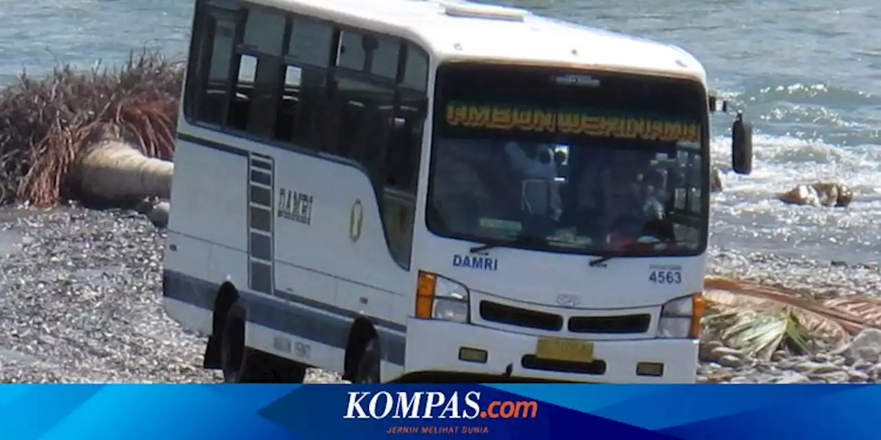 DAMRI Sediakan Bus Perintis di Nabire Papua Tengah, Tarif mulai Rp 10.000