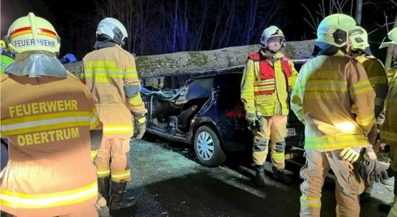 Baum traf fahrendes Auto: Lenkerin (23) überlebte