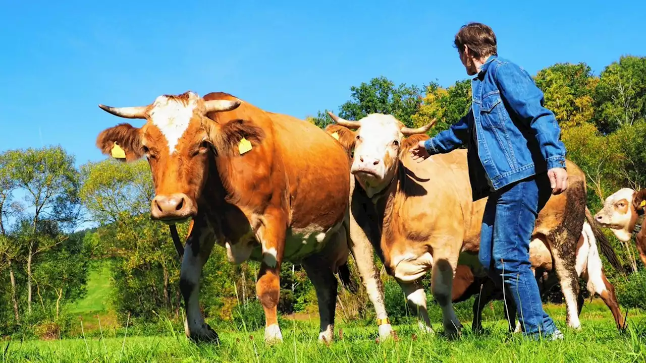 Bio-Boom vorbei? Viele Bauern steigen wieder aus