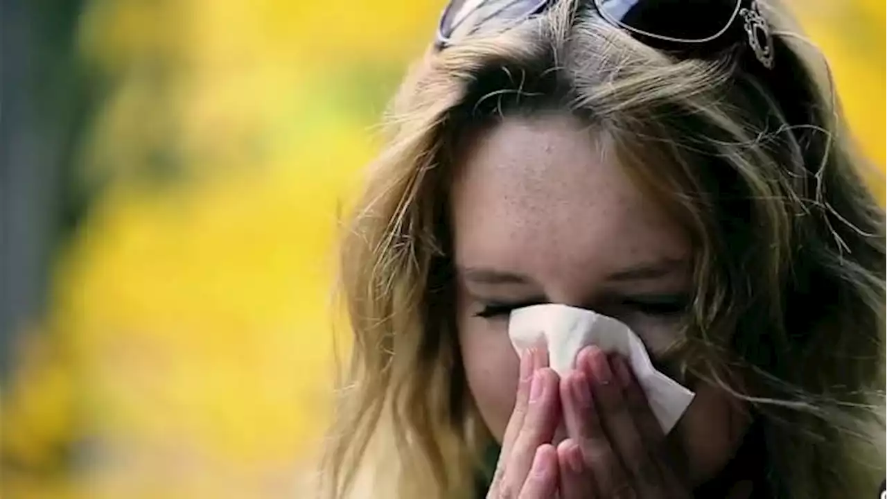 Local immunologist says start taking allergy medication now to avoid severe Oak Tree pollen allergies