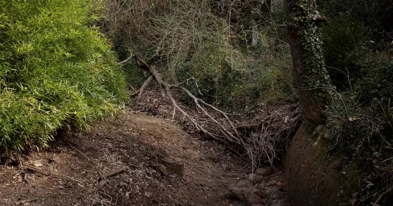 Sécheresse : la Cour des comptes pointe une politique de gestion de l’eau complexe et incohérente