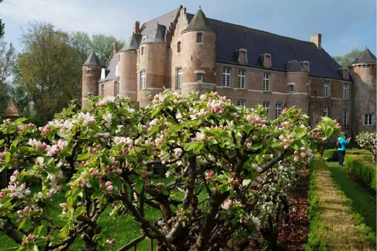 Situé à une heure de Lille, ce village du Nord est un petit joyau