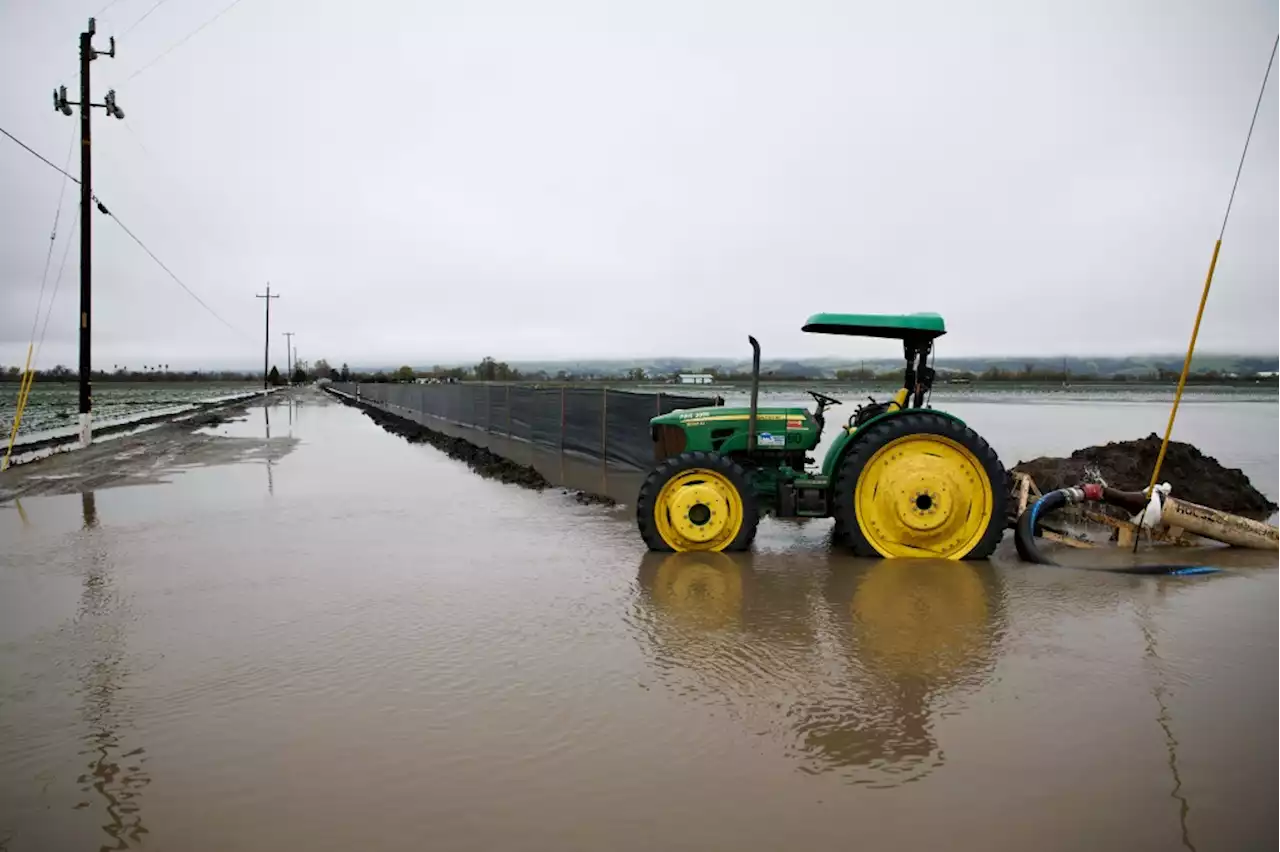 Levee breaches on Pajaro River in Monterey County prompting evacuations and rescues