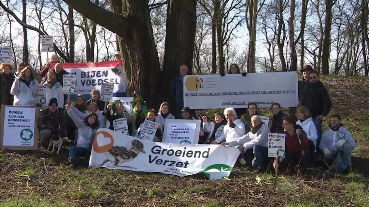 Geluidsoverlast of natuurbehoud: protest tegen bomenkap voor hoge geluidswal A1