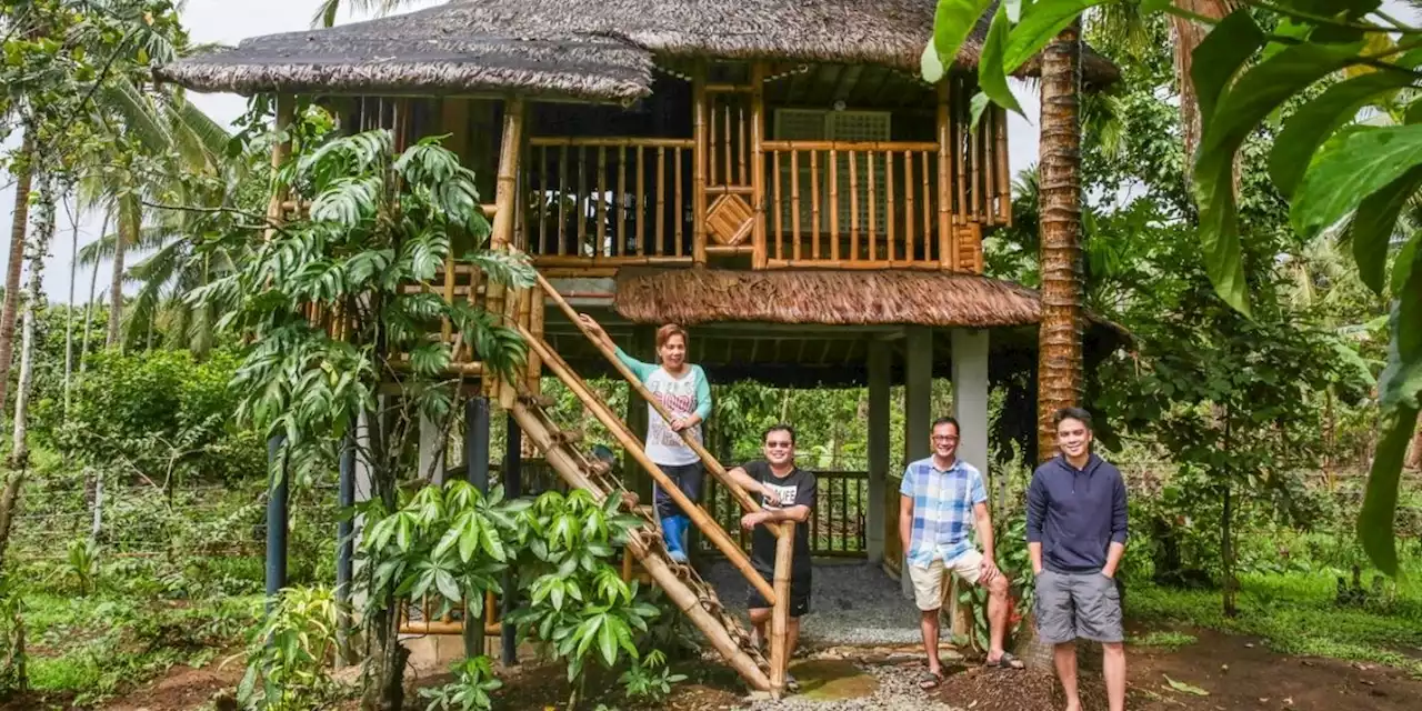 Friendship goals: How five TV journalists bought a farm and saved their sanity in the pandemic