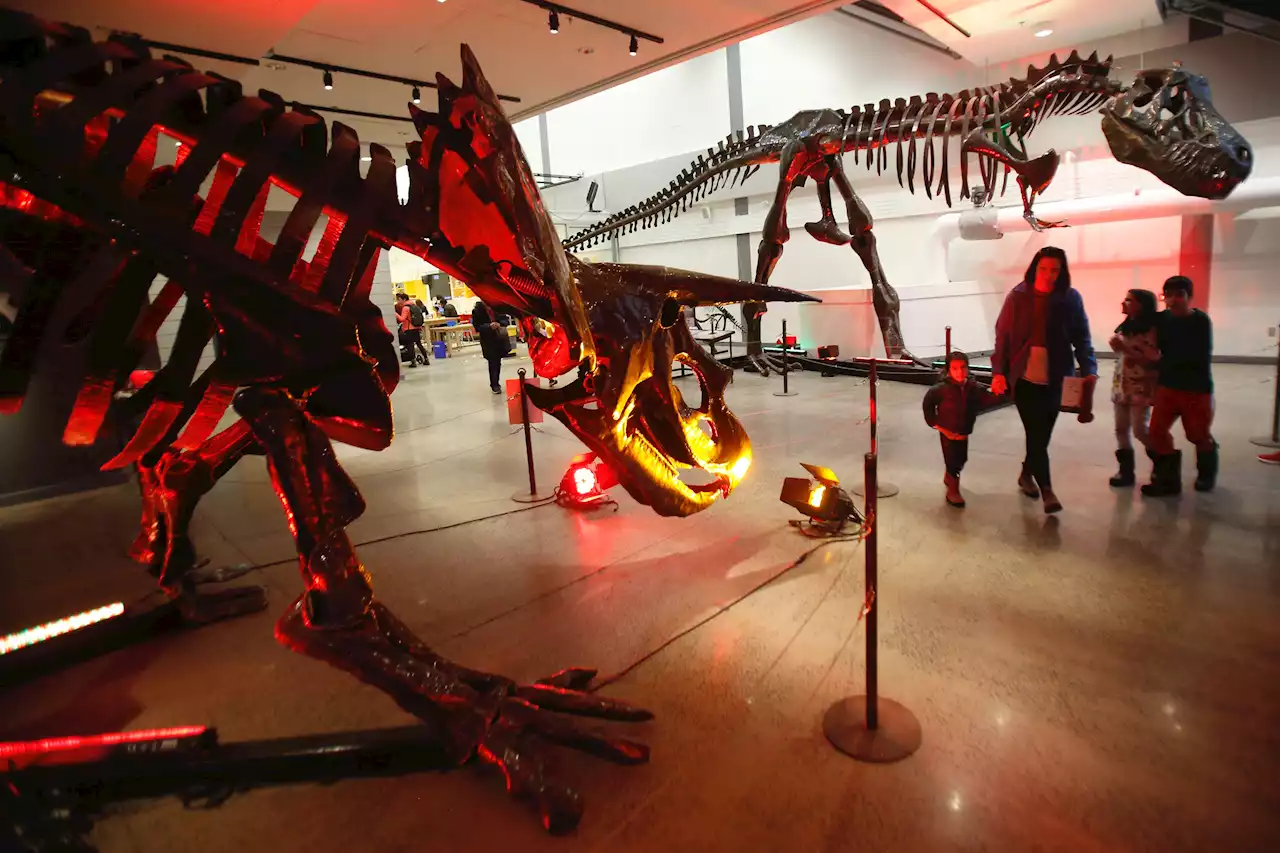 Giant metal dinos and more: Things to do in the Halifax area for March break | SaltWire