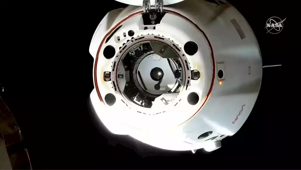 SpaceX Dragon Endurance With Crew-5 Undocks From Space Station