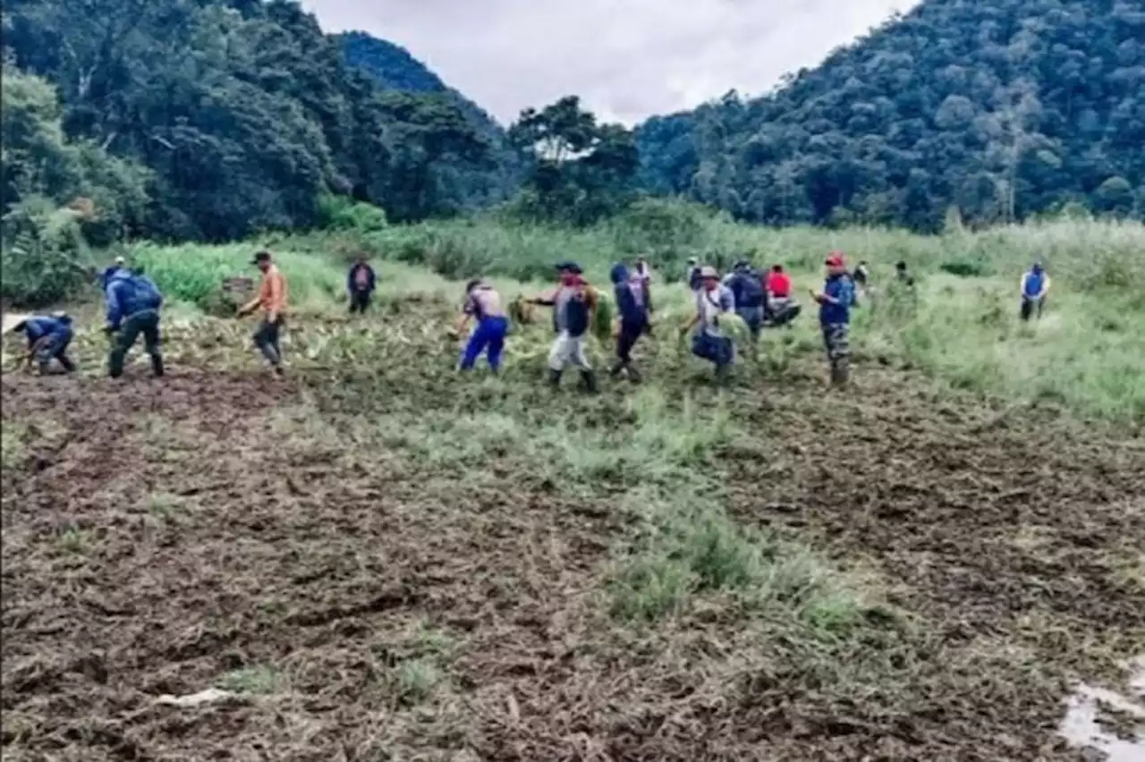 Edelweis Rawa Rusak akibat Event Motor Trail, Kawasan Wisata Ranca Upas Ditutup Sementara