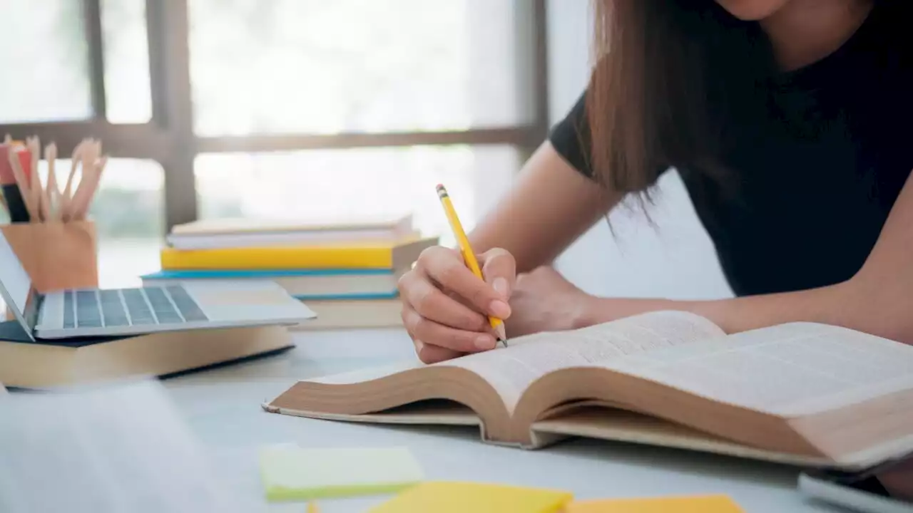 NSW school attendance drops to record lows in recent years