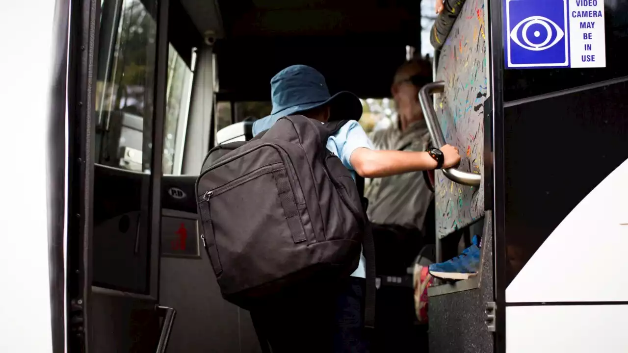 Suspicious lollies on QLD school bus exonerated