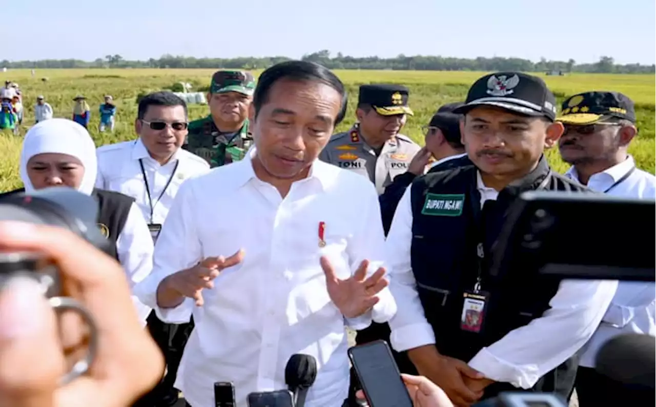 Jokowi Akui Pemerintah Sulit Menyeimbangkan Harga Gabah saat Panen Raya