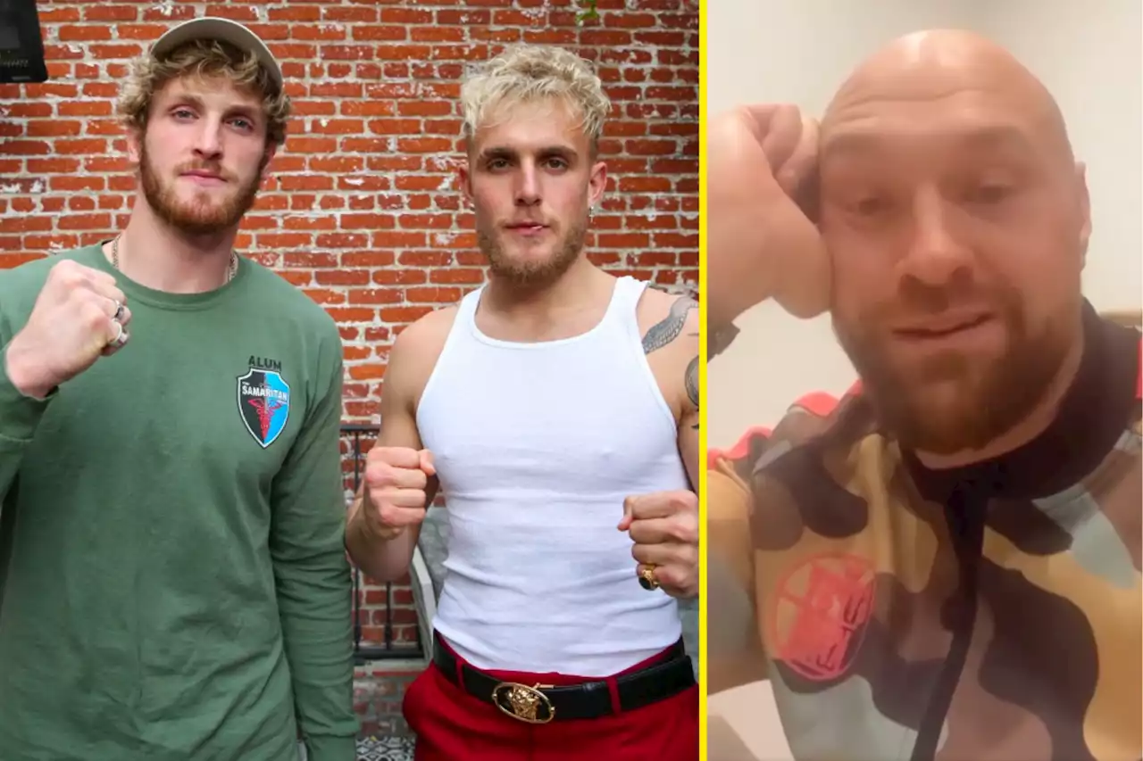 Tyson Fury calls out Logan and Jake Paul and says brothers are 'pair of losers'