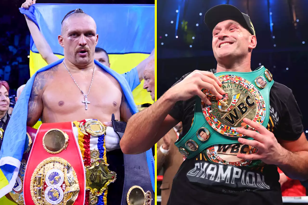 Usyk hailed as a 'proper fighting man' for accepting 'ridiculous' Fury terms for fight