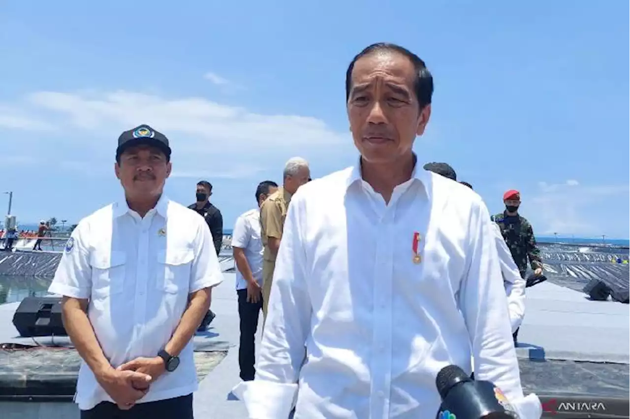 Jokowi Minta Harga Gabah Segera Ditetapkan: Jangan Sampai Jatuh