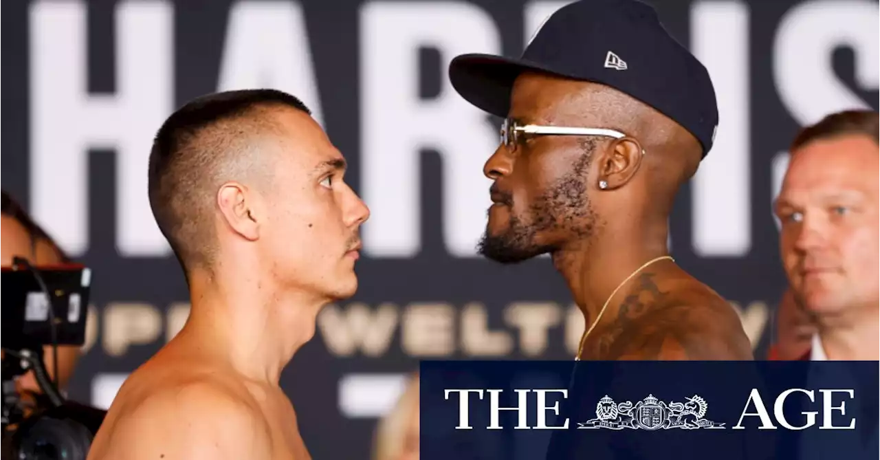 ‘You ever seen a rottweiler bite a chihuahua?’ Tszyu, Harrison trade final barbs at weigh-in